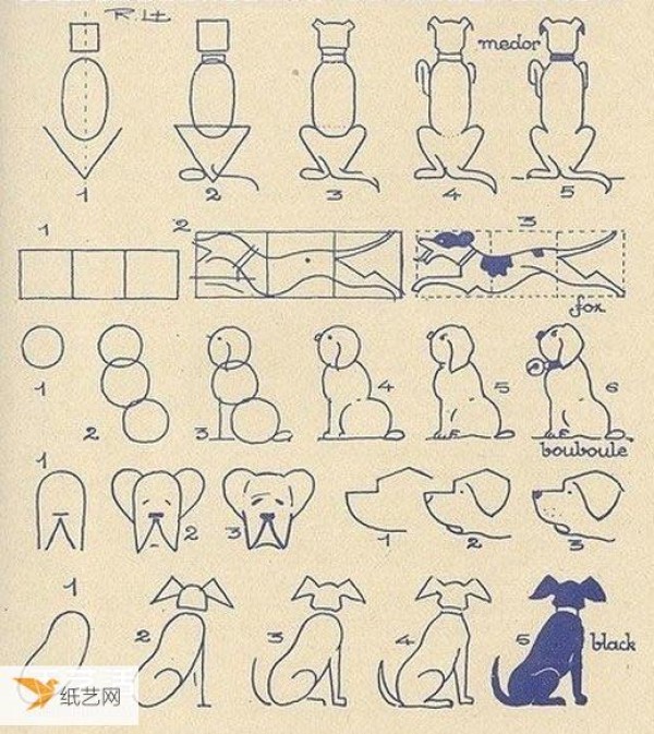 Very simple and easy to learn simple drawing pictures of different forms of animals