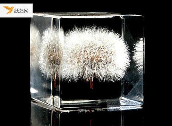 Tutorial on how to make personalized inlaid resin dandelion specimens