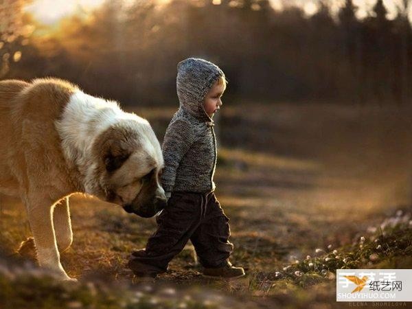 Appreciate the warm photography of a very cute little boy and animals