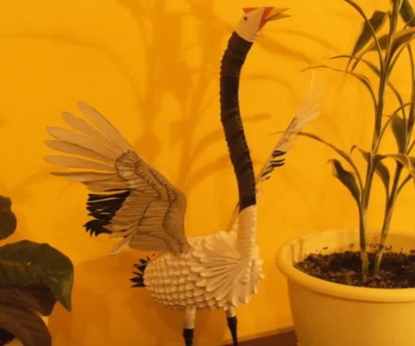 Video tutorial on how to fold a red-crowned crane into an origami triangle