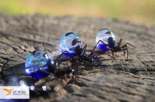 Bloom with tiny brilliance! Glass insect sculptures that test your eyesight and skills