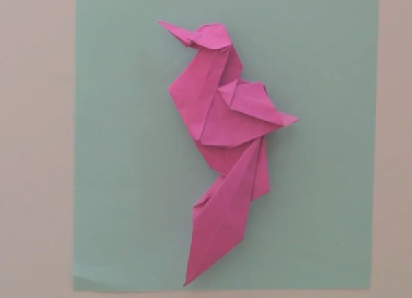 Origami Encyclopedia - Origami Bird of Paradise Video Tutorial