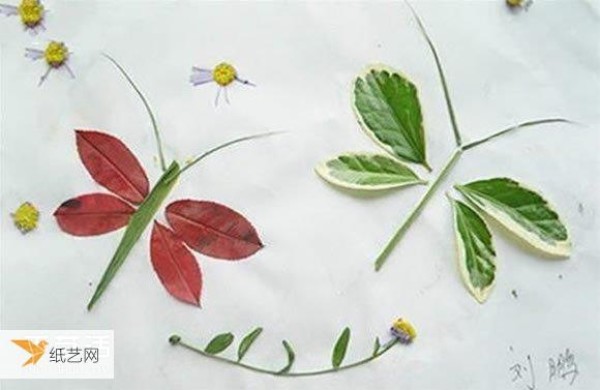 Children collect leaves and paste various animal stickers on them