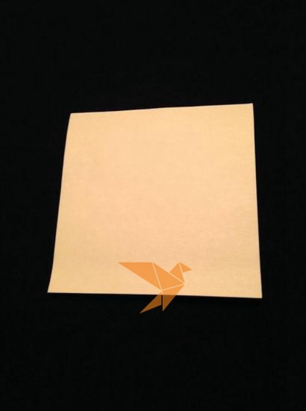 Cute origami bird making tutorial