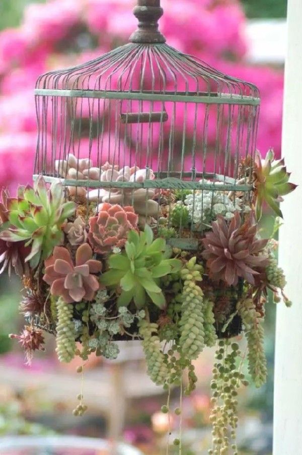 Turn waste into treasure, anything can be made into a flower pot! Give the succulent a comfortable home!