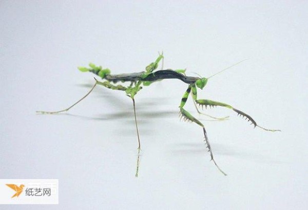 Bloom with tiny brilliance! Glass insect sculptures that test your eyesight and skills