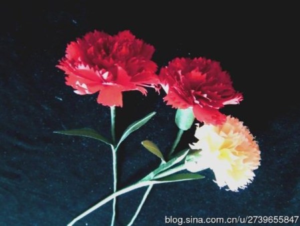 Mothers Day hand-rolled paper carnation handmade paper flower making tutorial [with carnation flower language]