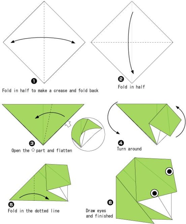 Simple Origami Frog Origami Tutorial for Children