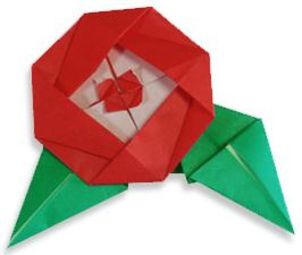 Camellia simple origami tutorial for children