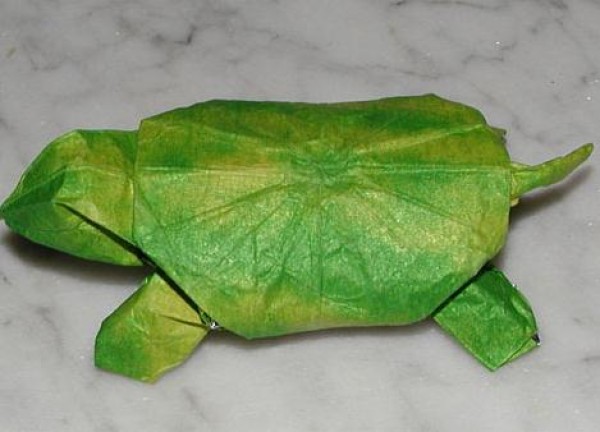 Origami drawing tutorial of simulated origami turtle [Animal origami atlas]