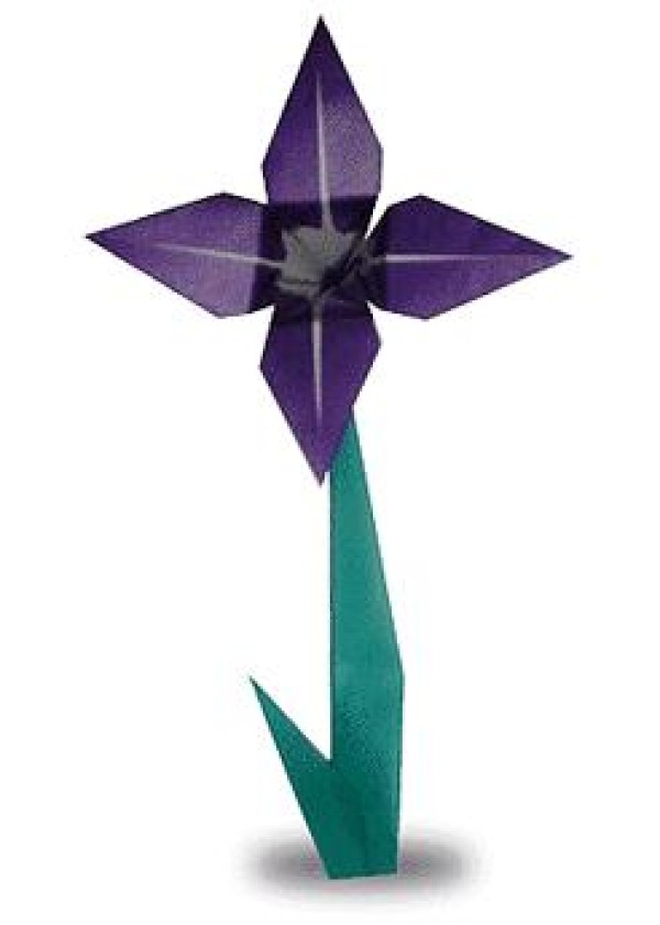 Simple origami iris tutorial for children