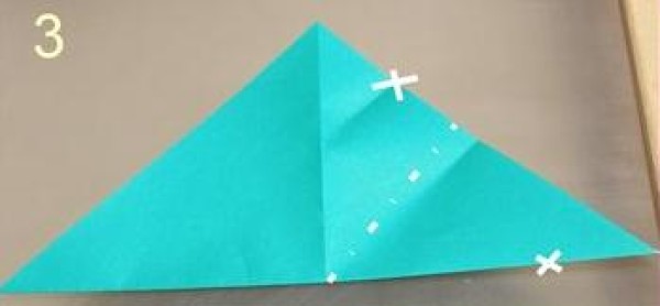 How to get a pentagonal paper - Origami Complete Illustrated Basics