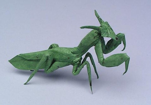 Insect Origami Encyclopedia - Origami Mantis Illustrated Tutorial