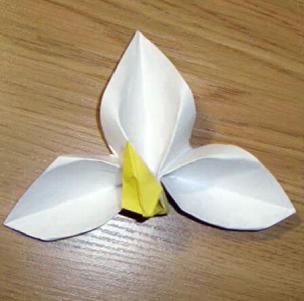 Origami iris flowers_Handmade origami flower encyclopedia teaches you how to fold handmade iris flowers