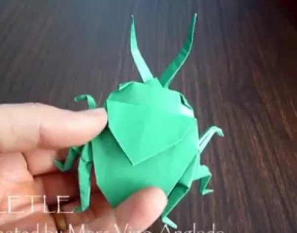 Insect origami encyclopedia - origami beetle handmade video tutorial