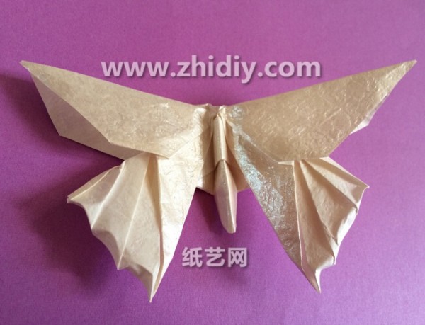 Origami butterfly folding tutorial