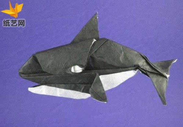 [Sea Animal Origami Collection] Origami Orca Origami Tutorial