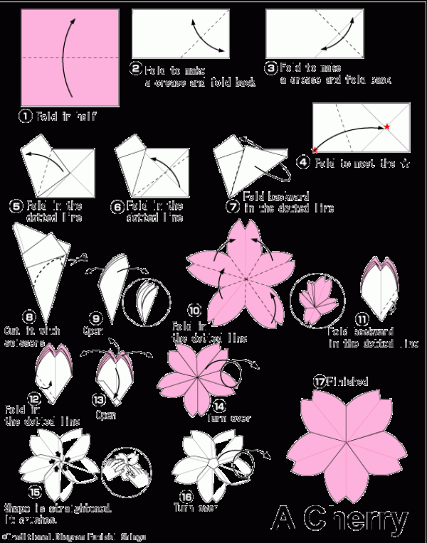 Sakura simple origami tutorial for children