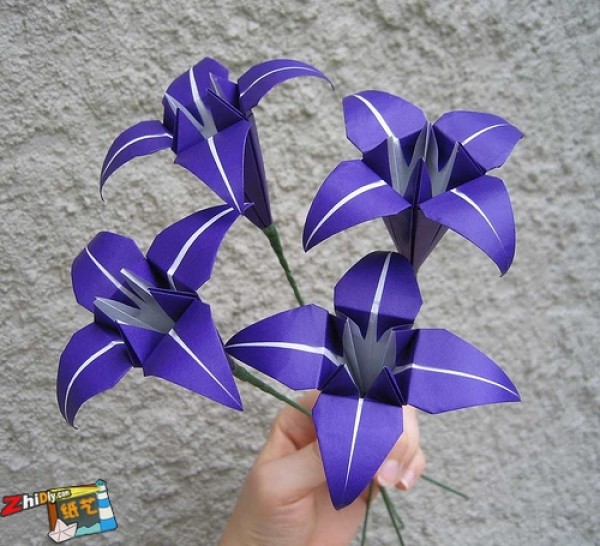 Appreciation of simple origami flowers