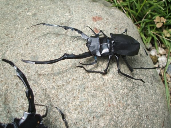 Papercraft insects! Difficult to tell true from false