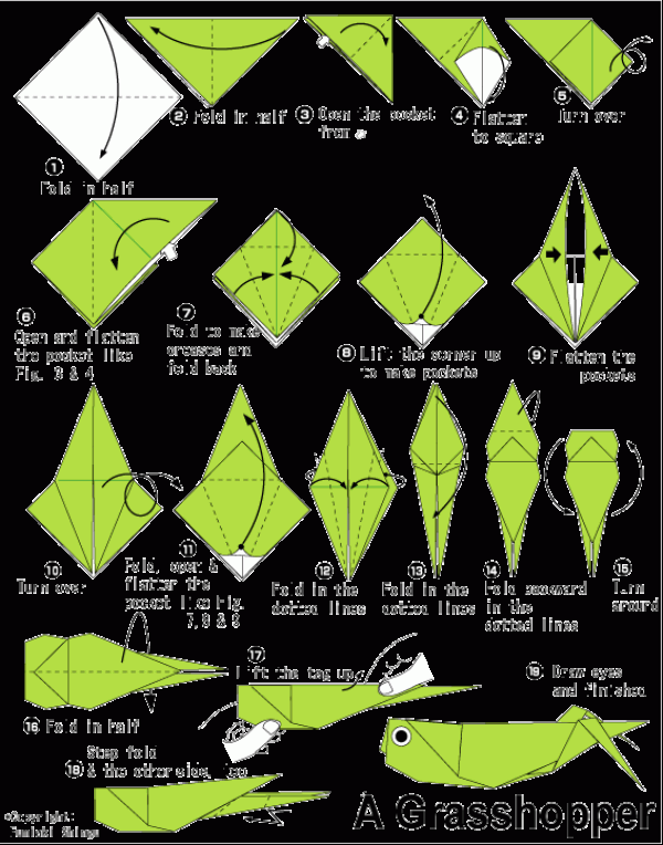 Origami Grasshopper Origami Tutorial for Children