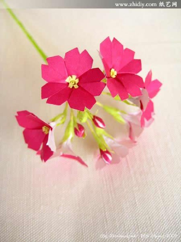 Shimizu Satsuki’s submission—“Origami Primrose·Origami Primrose”