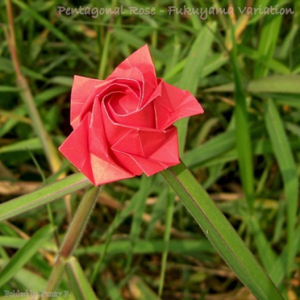 Origami rose tutorial - ten-petal origami rose origami tutorial