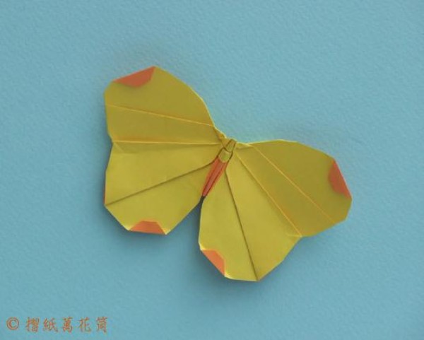 Spotted Butterfly Origami Tutorial—Alfredo Giunta