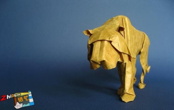 Appreciation of superb origami skills