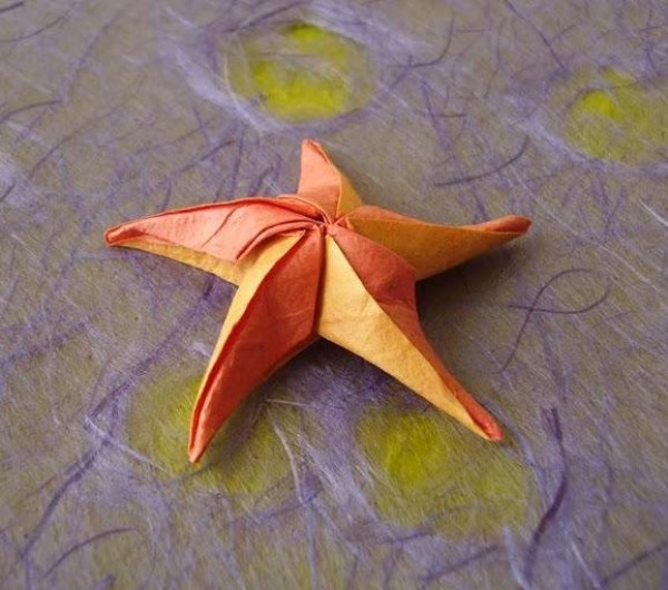 Origami Starfish Origami Complete Manual Origami Illustrated Tutorial