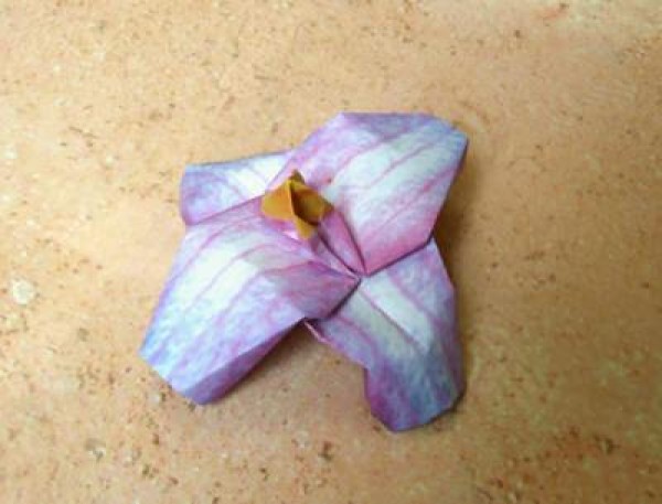 Simple Origami Flower Tutorial Clematis