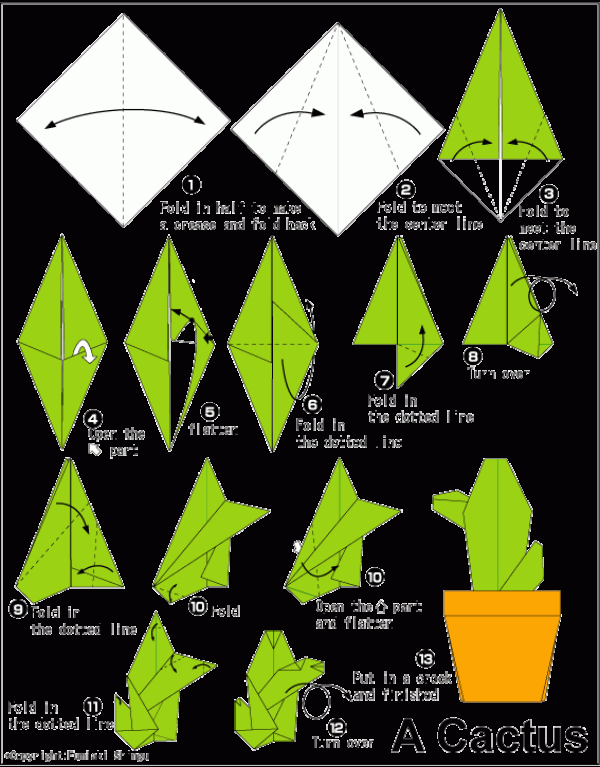 Simple Origami Cactus Tutorial for Children