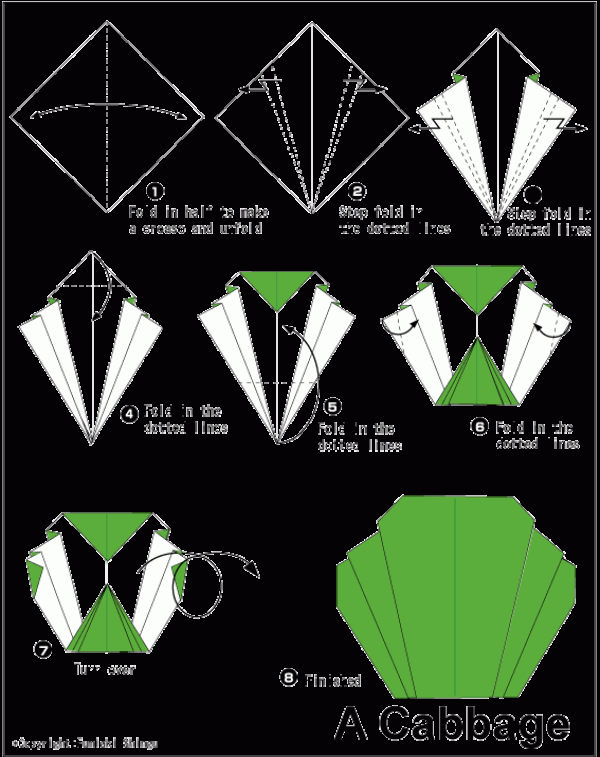 Simple origami cabbage tutorial for children