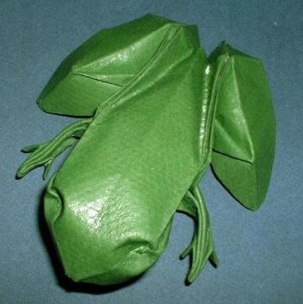 Wet origami frog origami chart