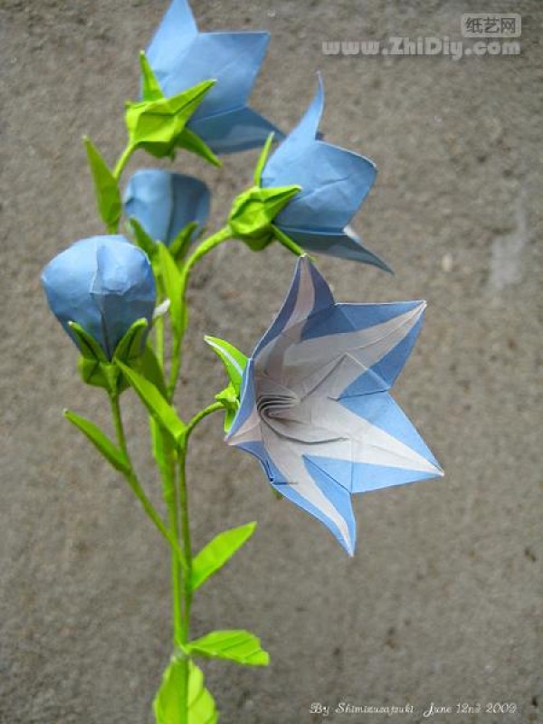 Shimizu Satsuki’s paper art work—“Origami Platycodon·Origami Balloon-Flower”