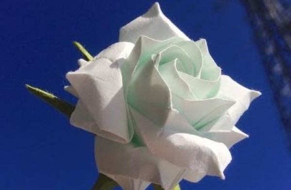 A complete collection of origami techniques for roses - video tutorial on hand-made origami of simulated origami roses