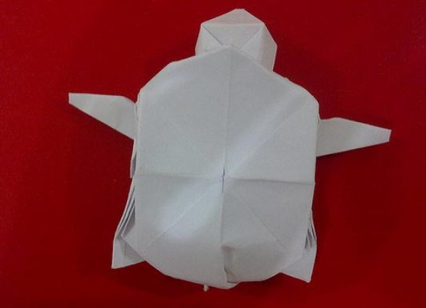 Turtle origami tutorial—Collin Weber