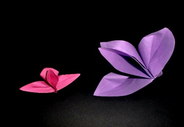 Origami flower encyclopedia origami orchid origami video tutorial