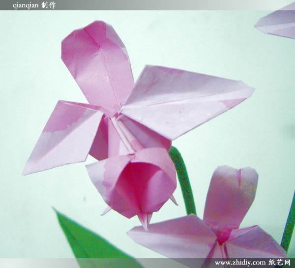 Origami orchid by qianqian