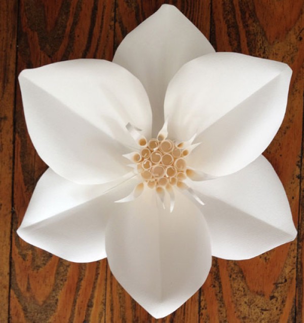 Large paper flower sculptures by Michele Tremblay