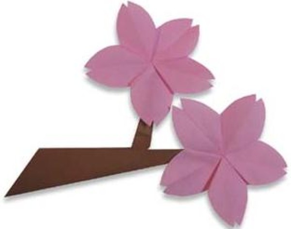 Sakura simple origami tutorial for children