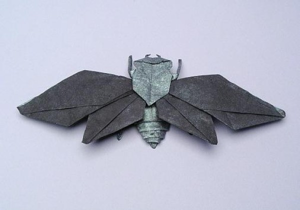 Origami Insect Encyclopedia - Illustrated Origami Tutorial of Flying Cicada