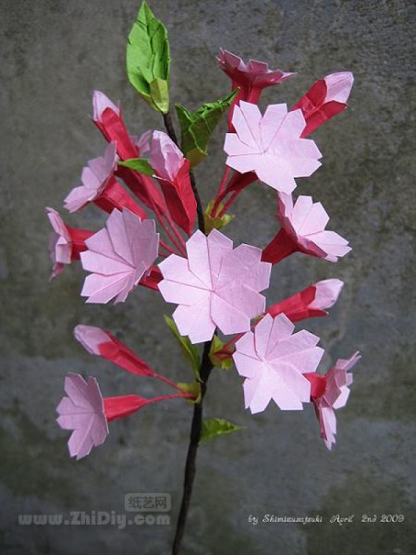 Origami cherry blossoms in Shimizu May