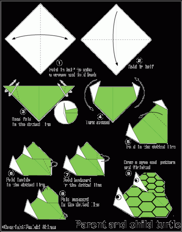 Two origami turtles origami tutorial for children