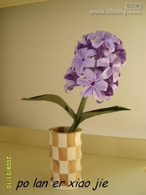 Appreciation of Miss Rags' Origami Hyacinth