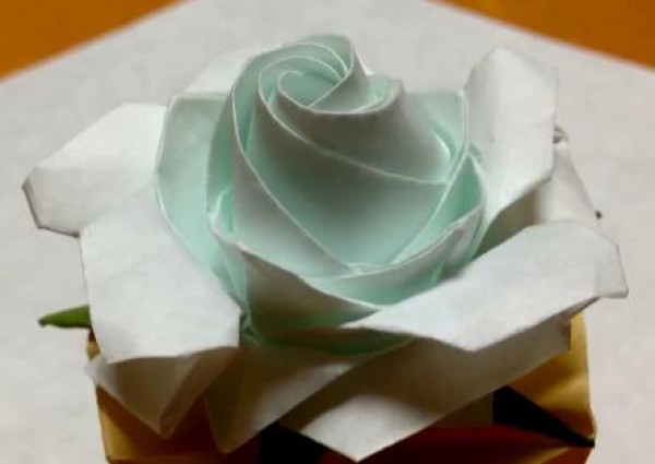 How to fold a rose - five-corner origami rose video tutorial