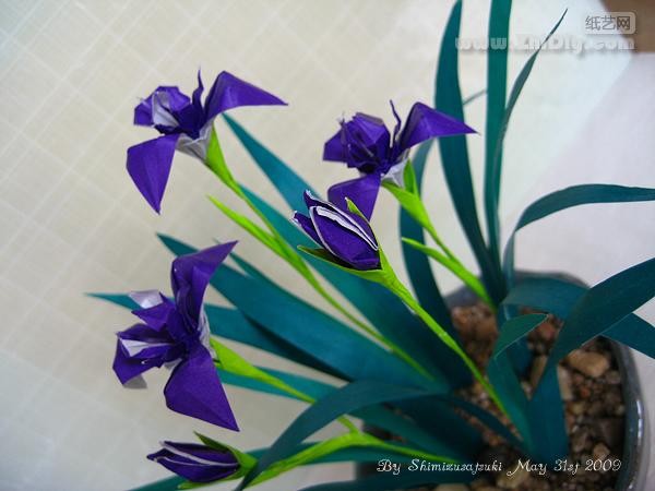 Shimizu May—origami swallow flower·origami rabbitear iris