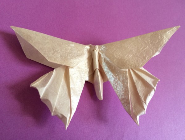 Origami butterfly folding tutorial