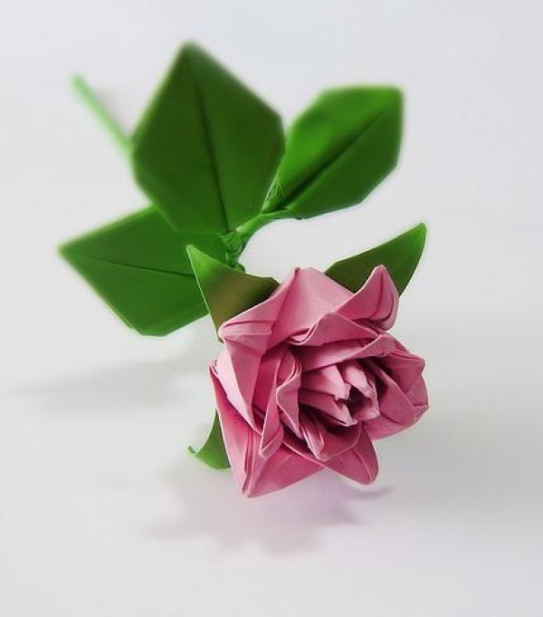 Origami rose origami rose tutorial illustration