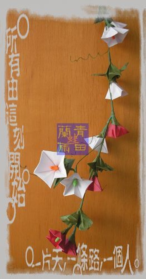 Origami flower appreciation of Qingtian orchid tree frog